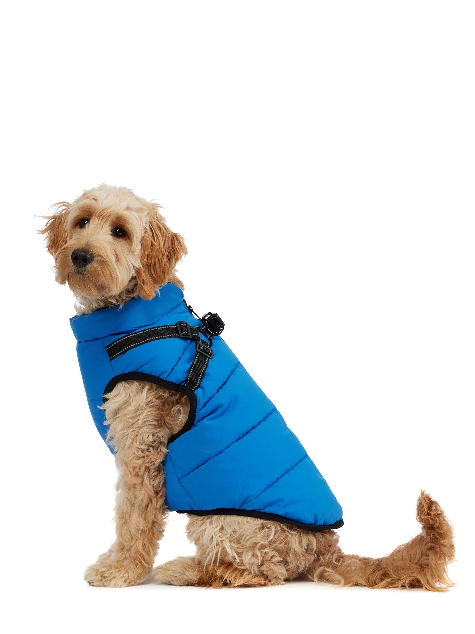 Atlas Puffer Jacket with Built-In Harness for Dogs